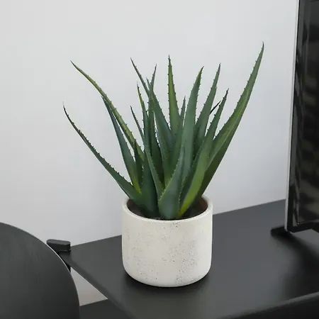 Core City- Sunbeam Luxembourg