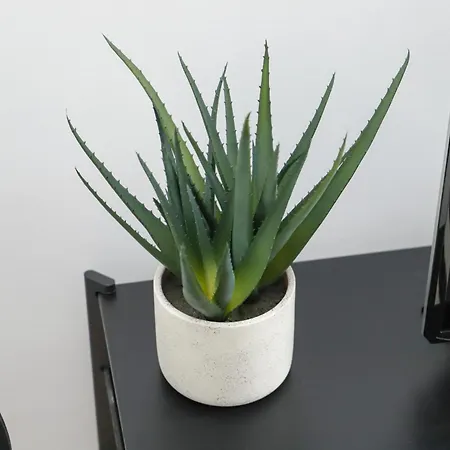 Apartment Core City- Sunbeam *