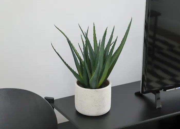 Core City- Sunbeam Lüksemburg