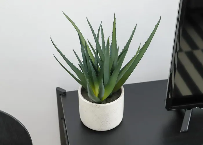 Daire Core City- Sunbeam *